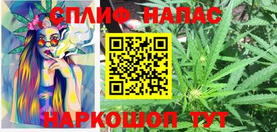 стаф Моздок