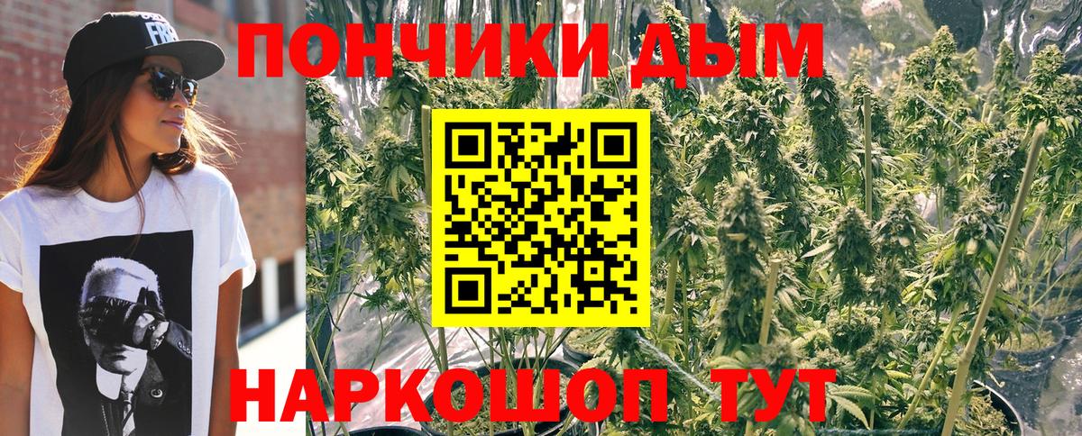 Конопля тримм  Бошки марихуана конопля  Шадринск  Вход с VPN 